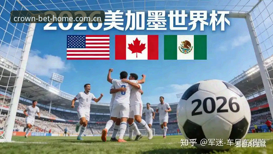 2026世界杯观赛签证难题应对操作教程——皇冠体彩竞彩投注用户的深度视角